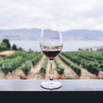 Die Vorteile des Trinkens von alkoholfreiem Wein: Ein genauerer Blick auf den Geschmack und die gesundheitlichen Vorteile