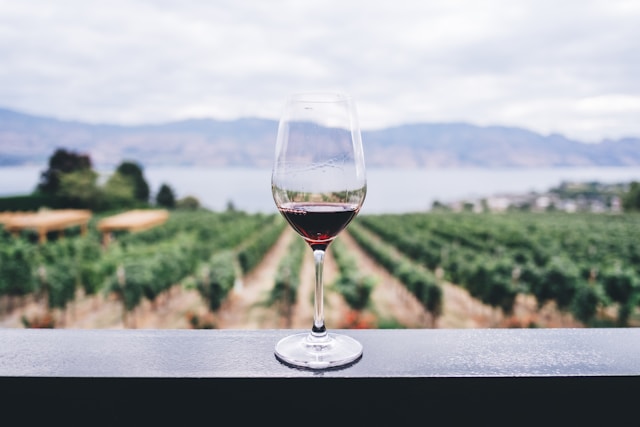 Die Vorteile des Trinkens von alkoholfreiem Wein: Ein genauerer Blick auf den Geschmack und die gesundheitlichen Vorteile